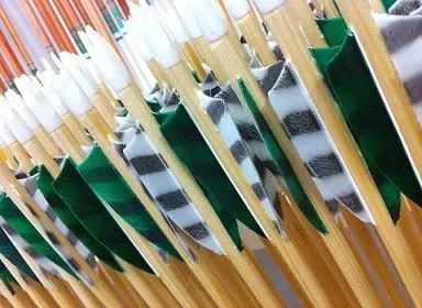Arrows - Wooden Arrows Basic