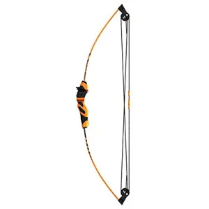 Barnett Wildhawk 18lb Compound Bow