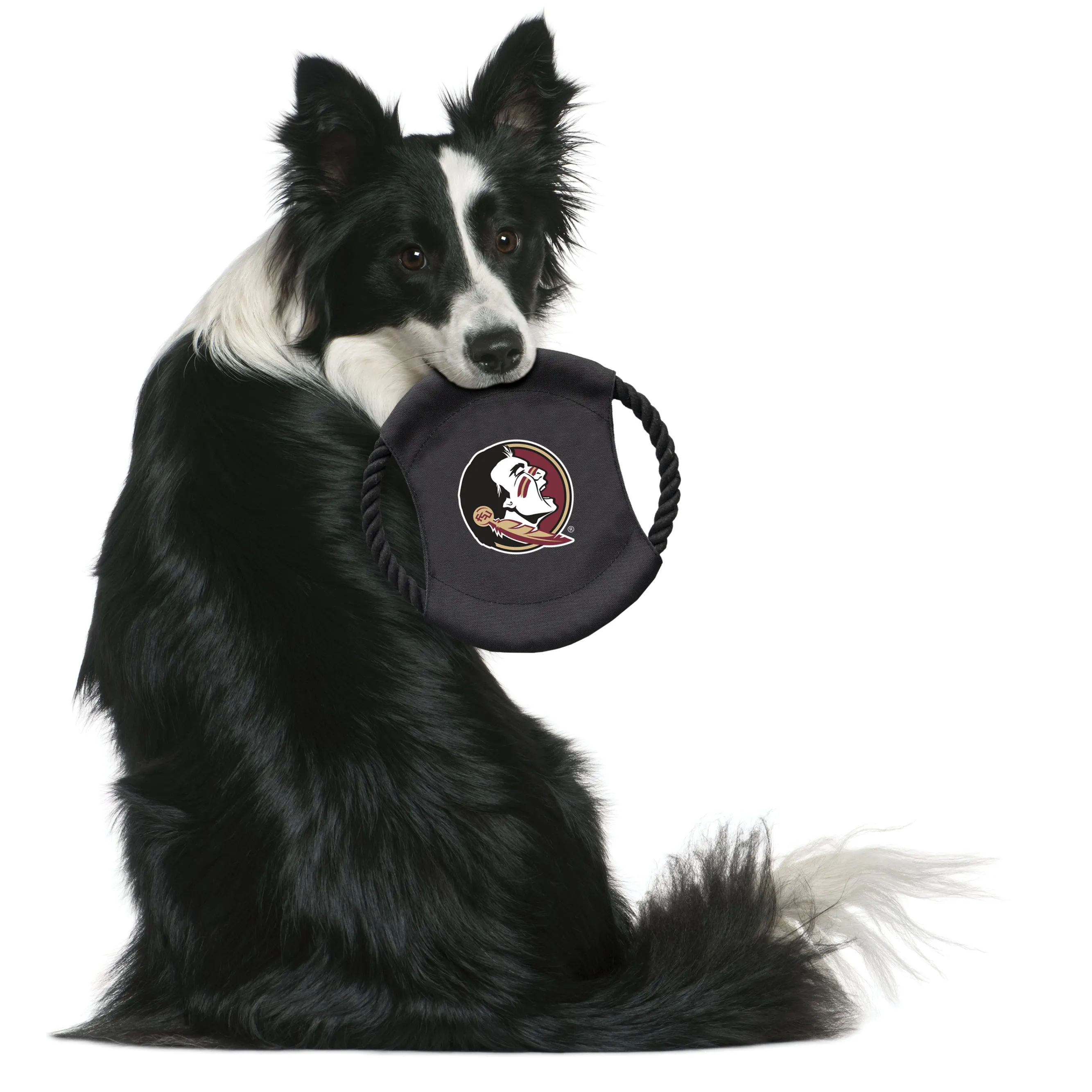 Florida State University Team Flying Disc Pet Toy