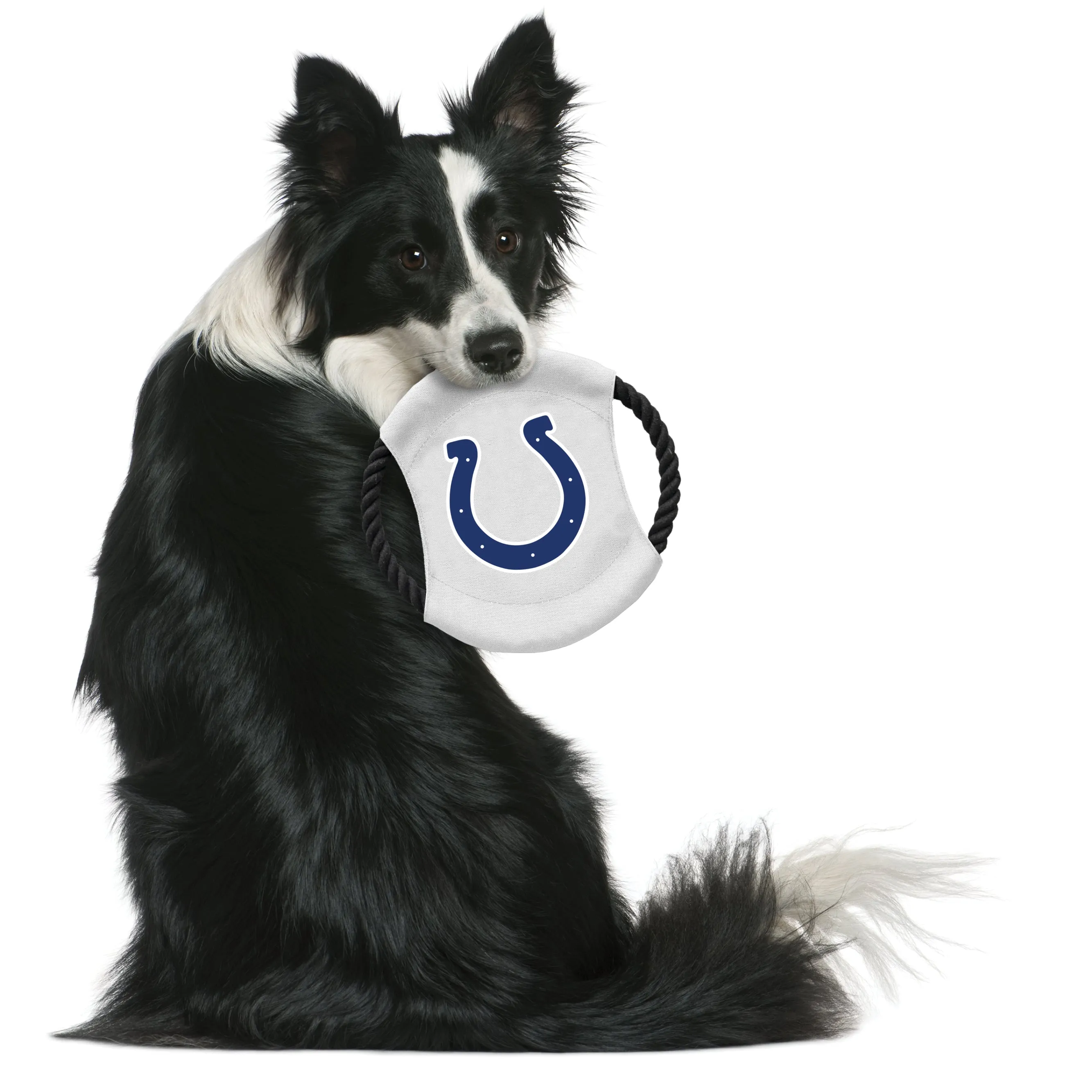 Indianapolis Colts Team Flying Disc Pet Toy