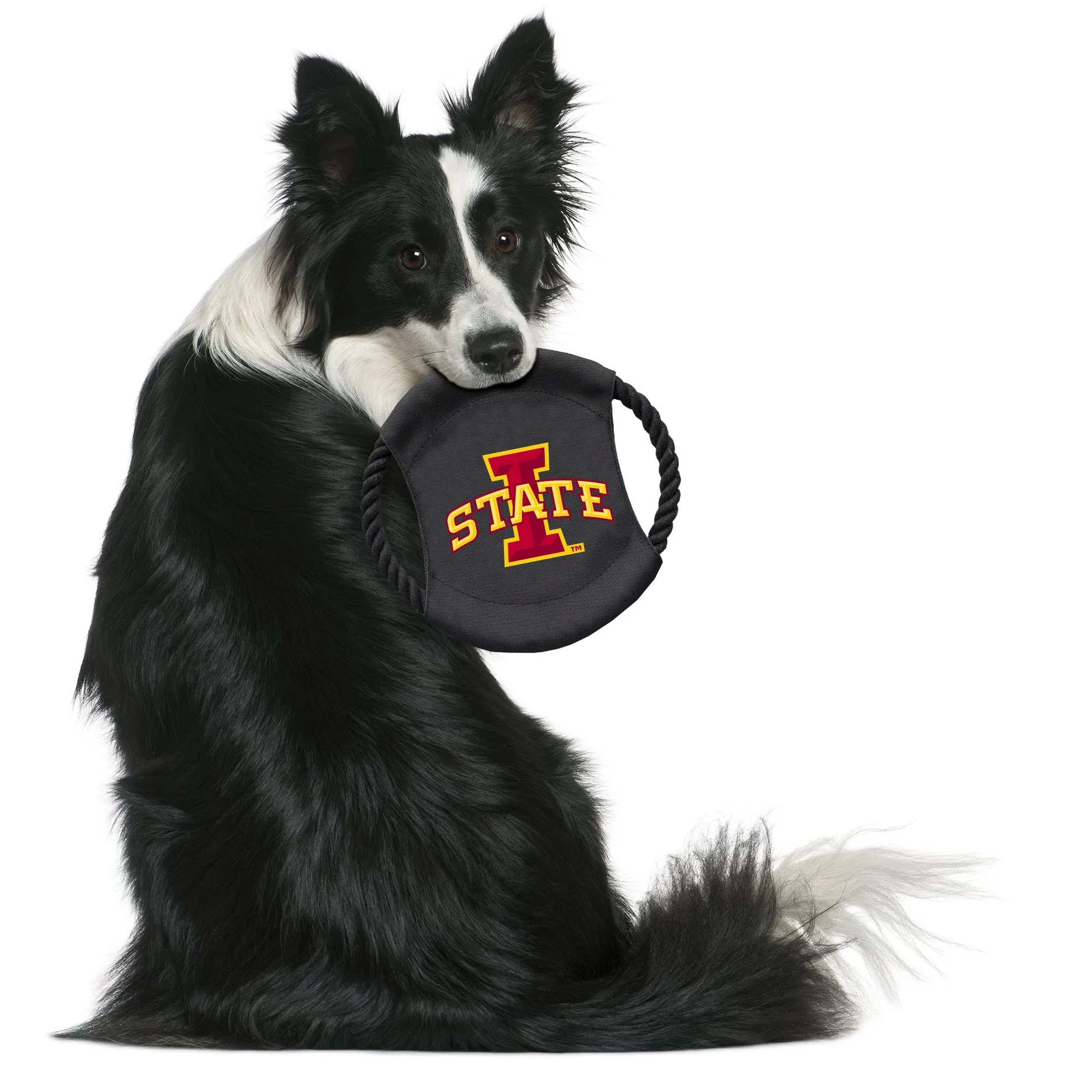 Iowa State University Team Flying Disc Pet Toy