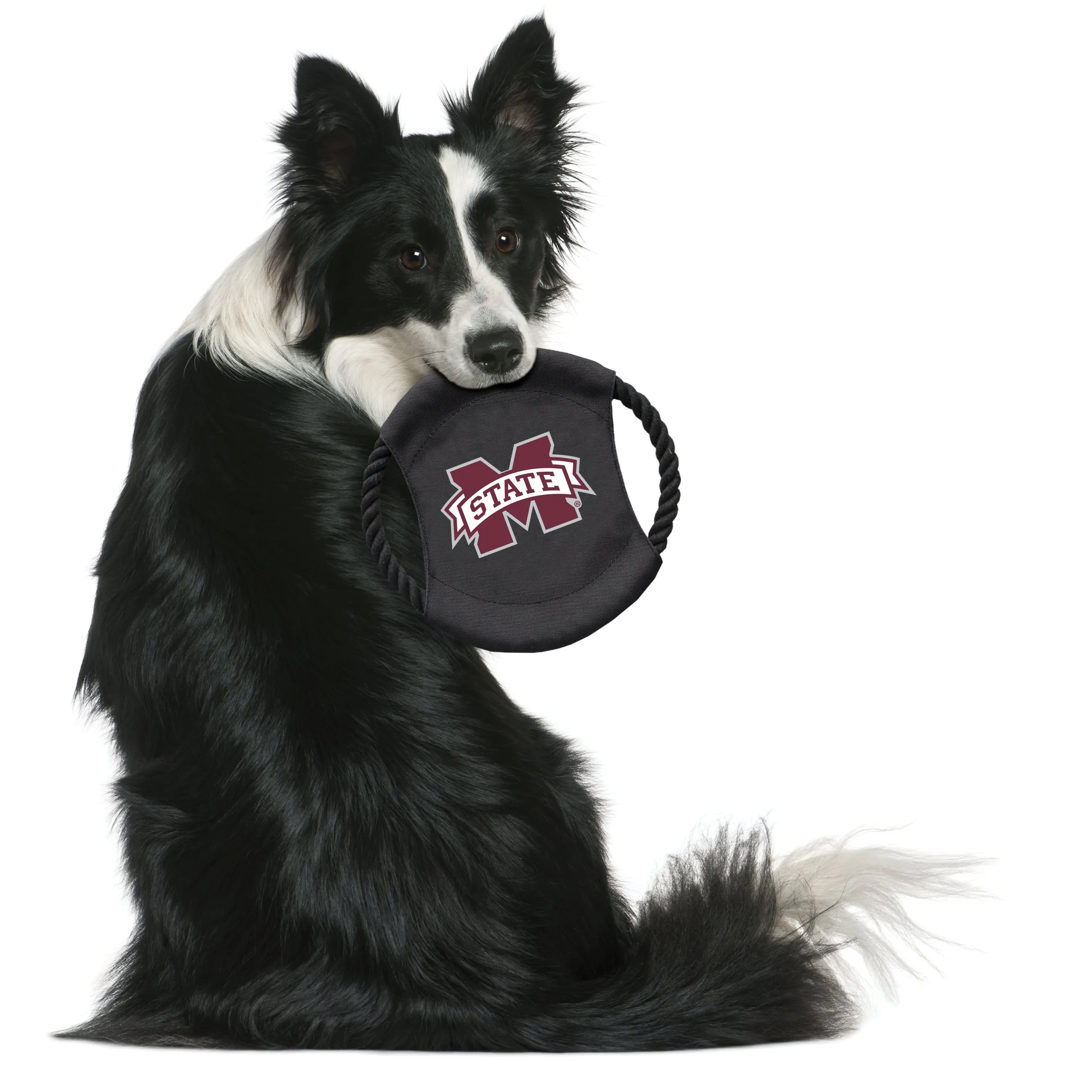 Mississippi State University Team Flying Disc Pet Toy