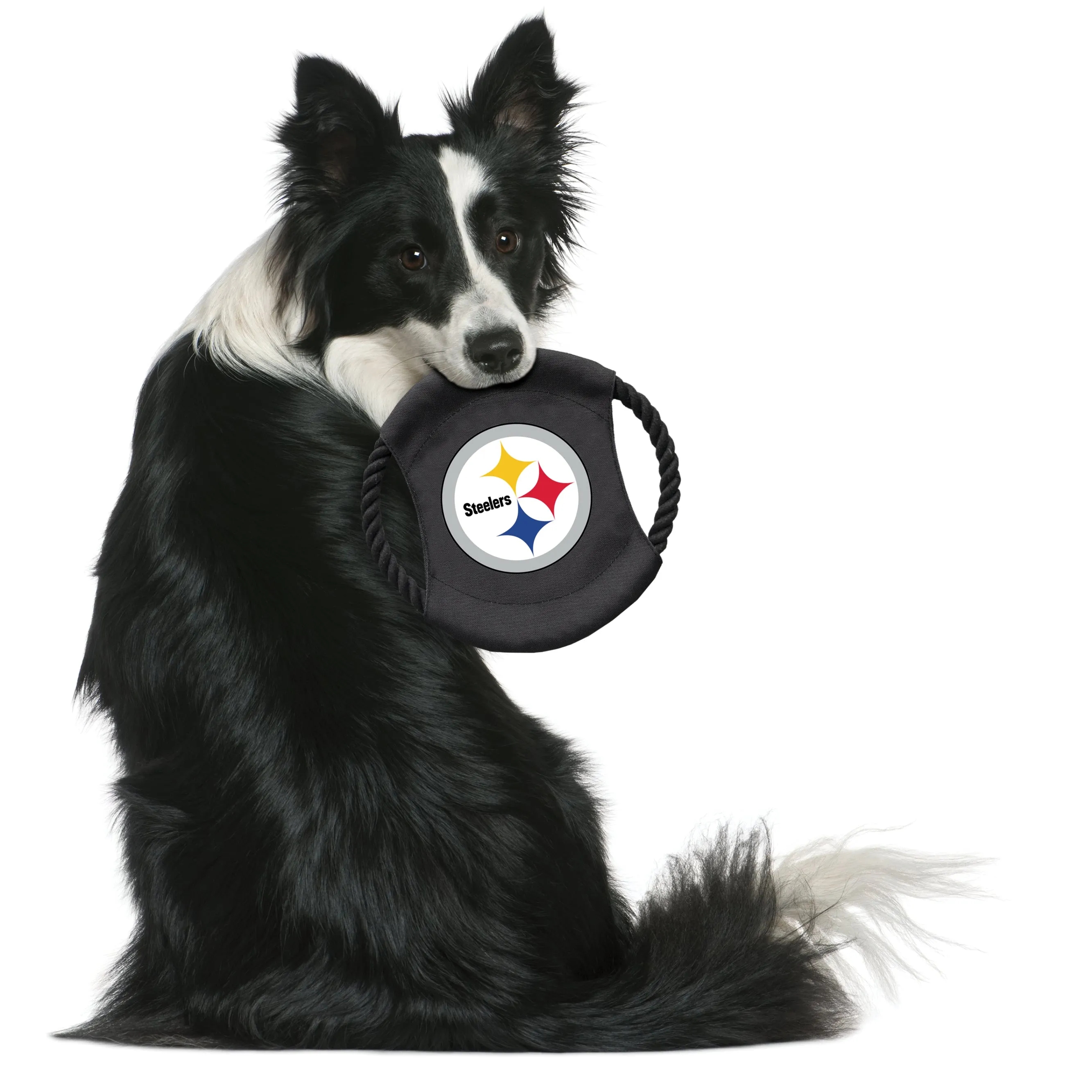 Pittsburgh Steelers Team Flying Disc Pet Toy